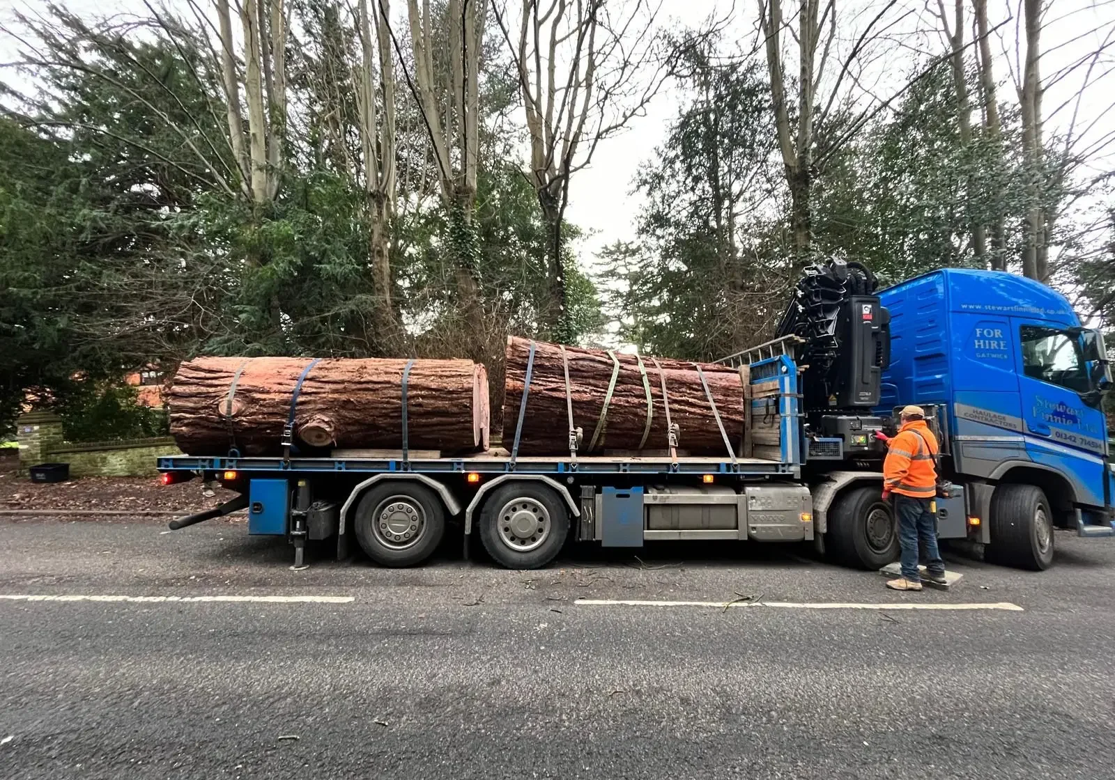 stump-removal-weybridge-3
