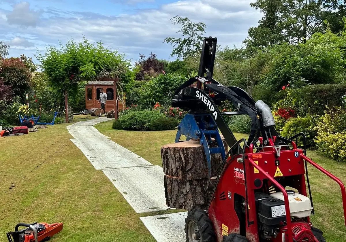 stump-removal-weybridge-4
