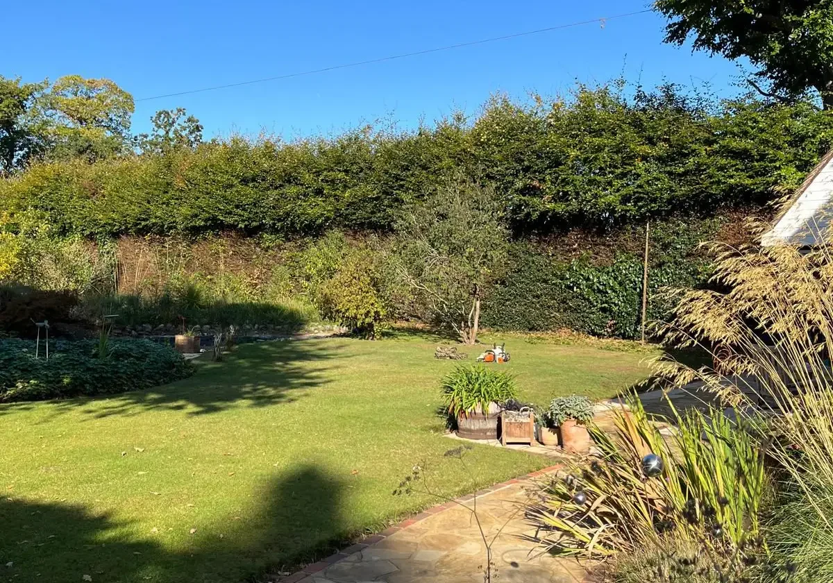 tree-services-chichester